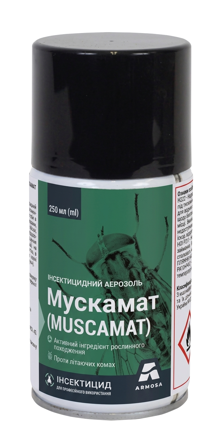 Muscamat без фона